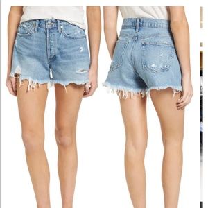 Agolde Parker Vintage cutoff shorts